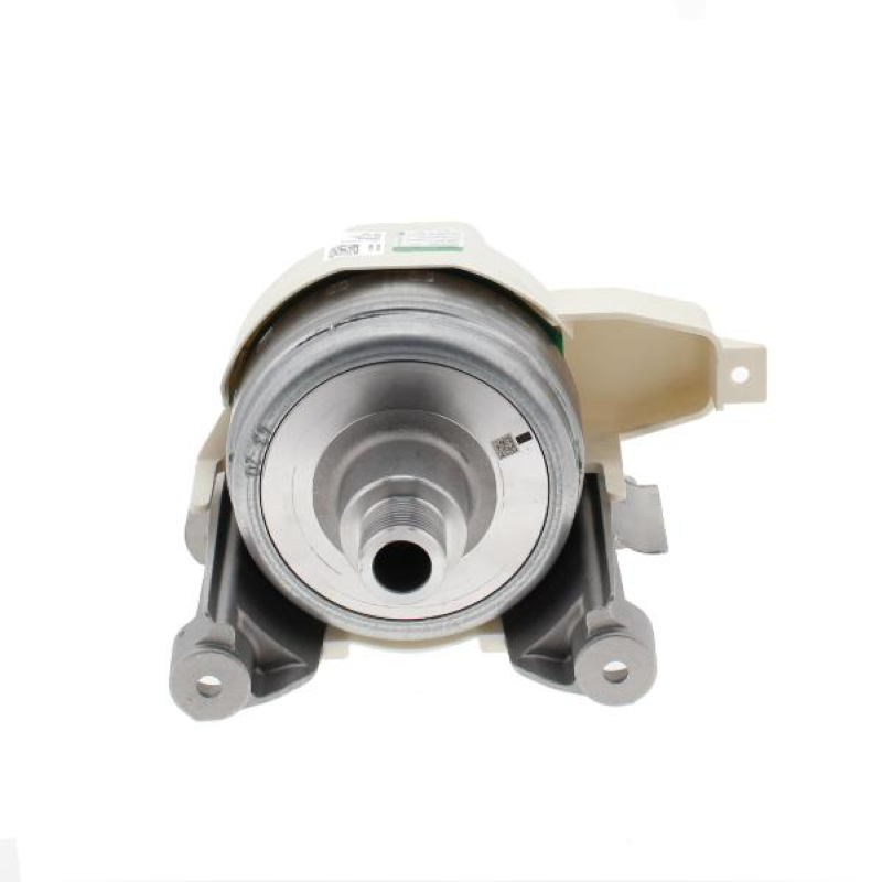 Bauknecht Beko Motor Askoll BPM H11xTL Hybrid C00384948 481010722856
